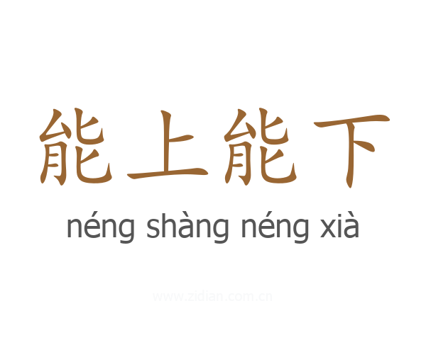 能上能下