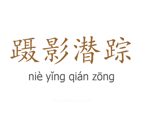 蹑影潜踪