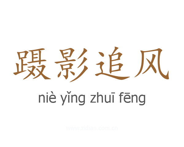 蹑影追风