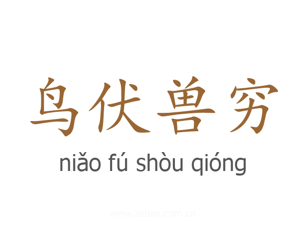 鸟伏兽穷