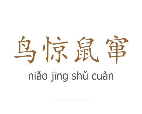 鸟惊鼠窜