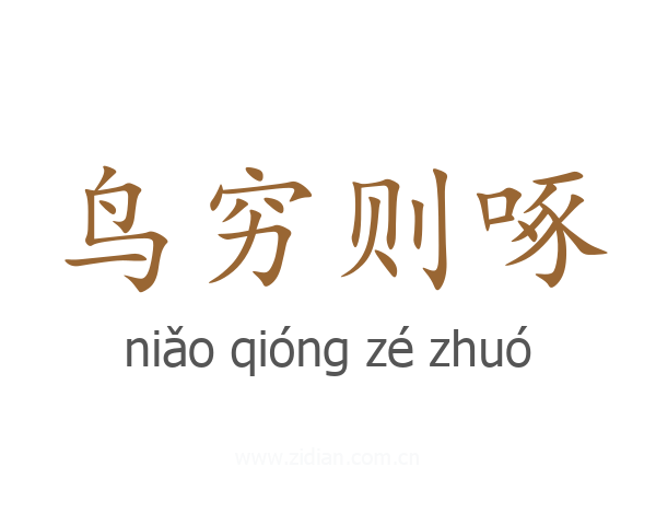 鸟穷则啄