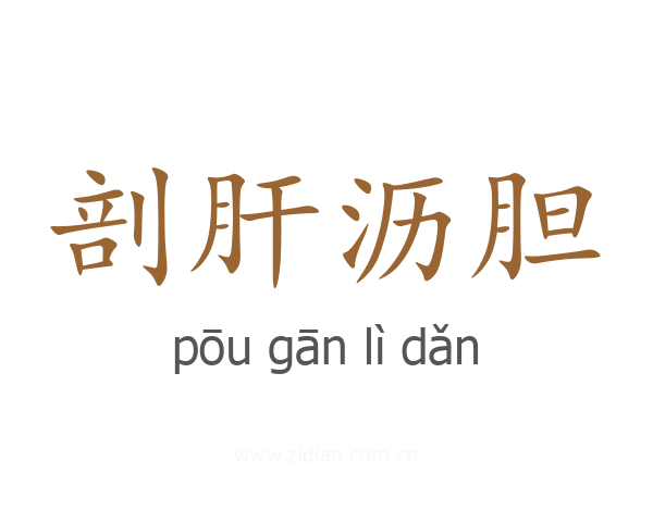 剖肝沥胆