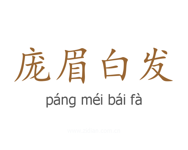 庞眉白发