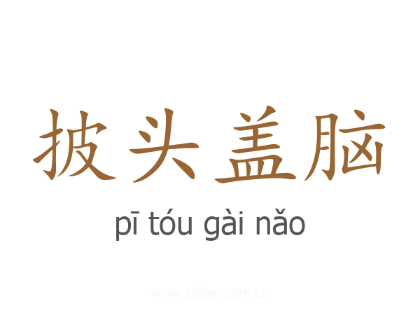 披头盖脑