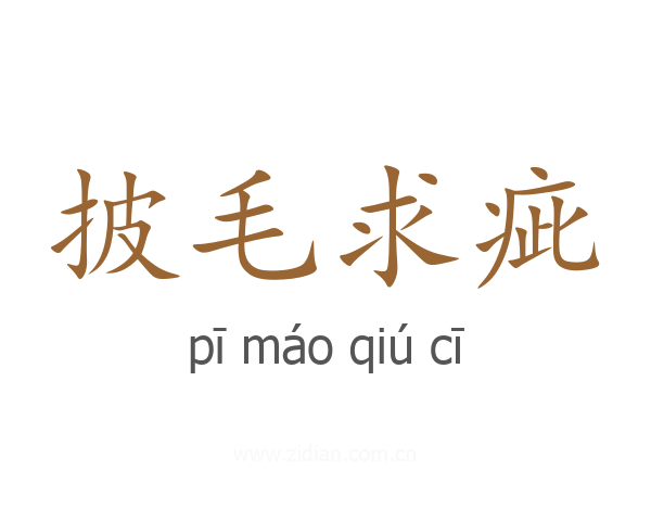 披毛求疵