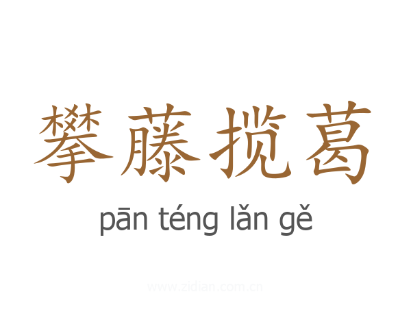 攀藤揽葛