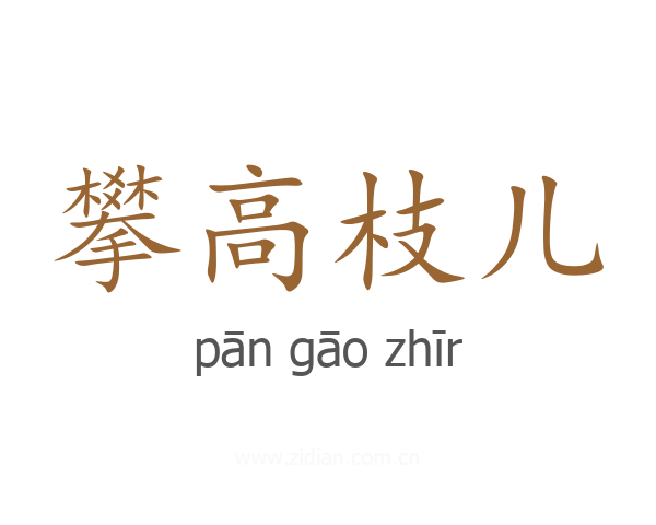 攀高枝儿