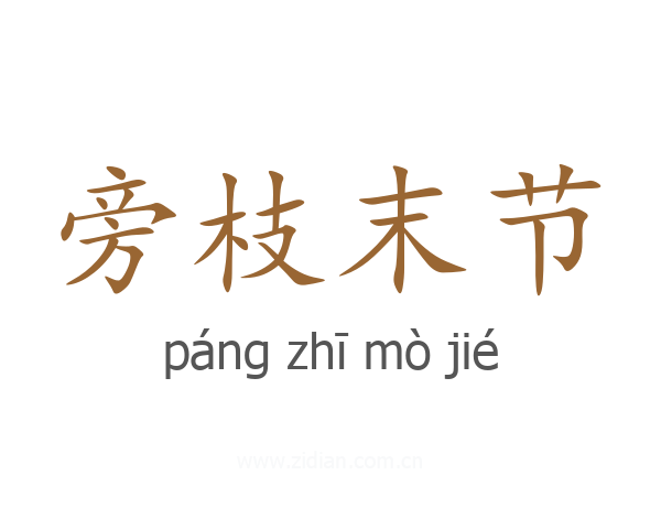 旁枝末节