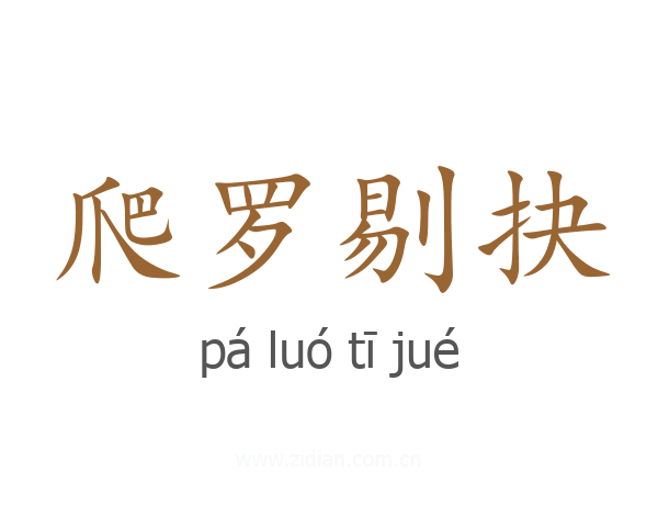 爬罗剔抉