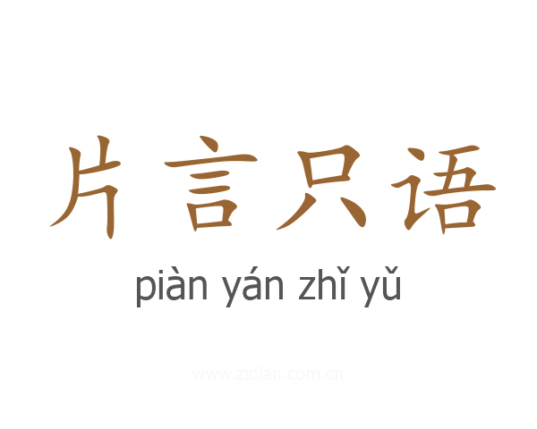 片言只语