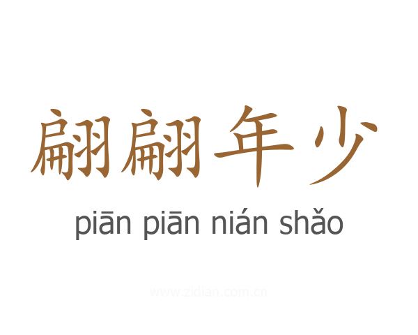 翩翩年少