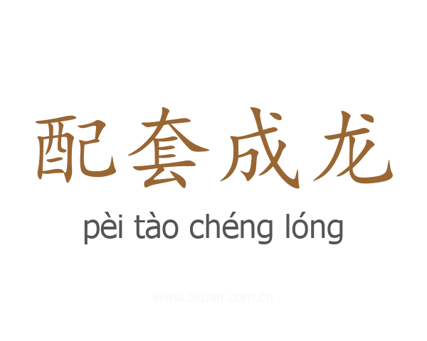配套成龙
