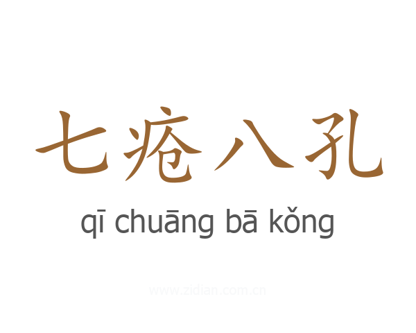 七疮八孔