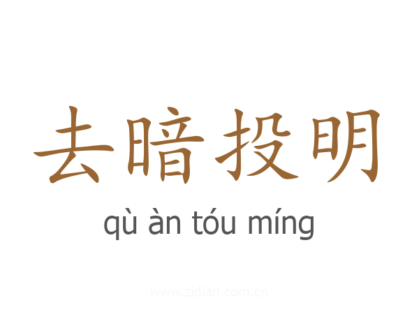去暗投明