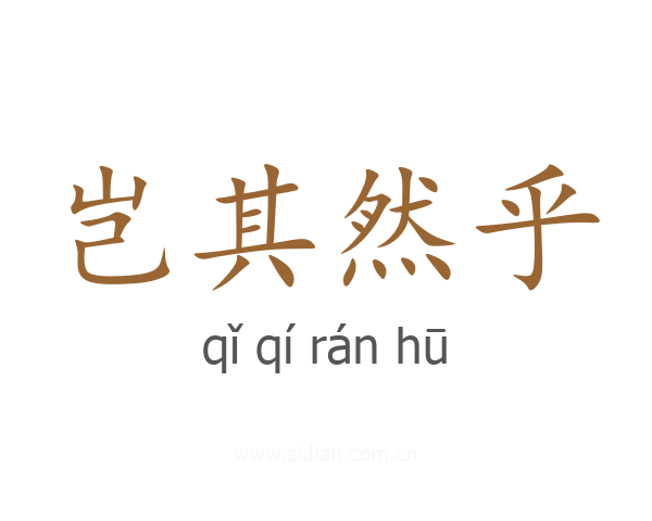 岂其然乎