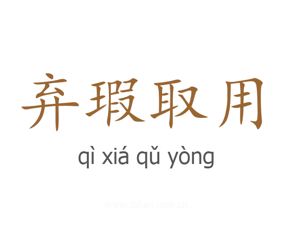 弃瑕取用