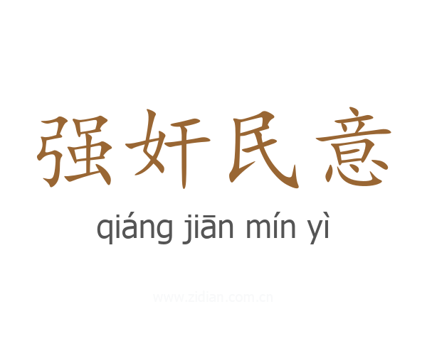 强奸民意