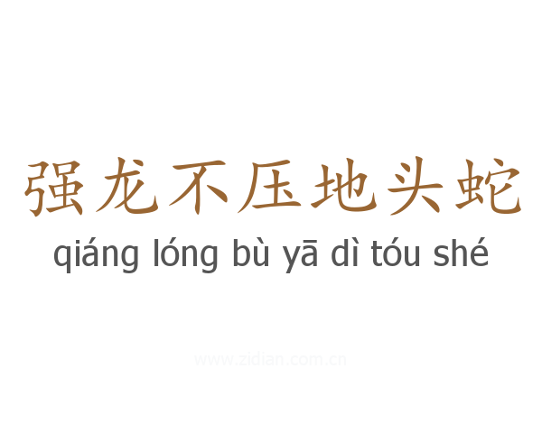 强龙不压地头蛇