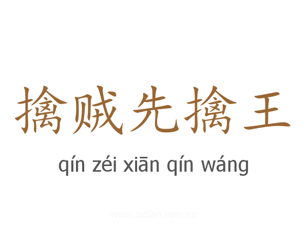 擒贼先擒王