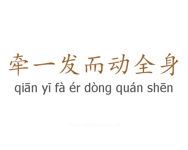牵一发而动全身