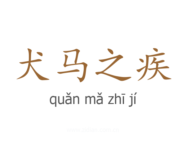 犬马之疾