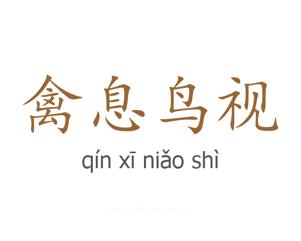 禽息鸟视