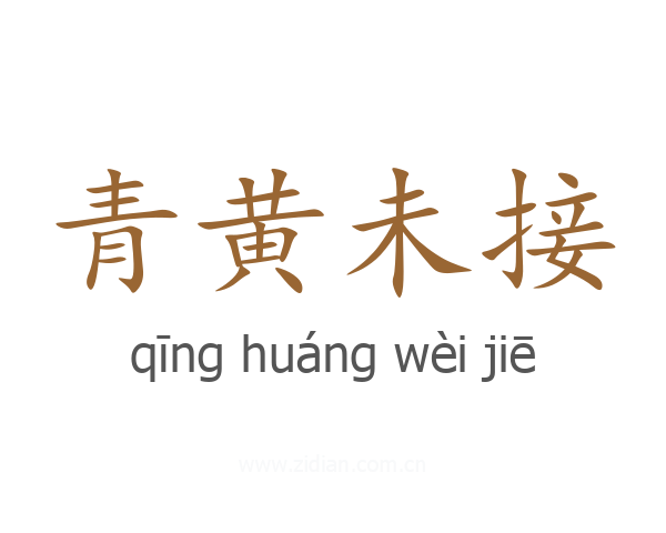 青黄未接