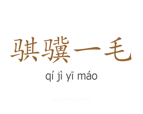 骐骥一毛