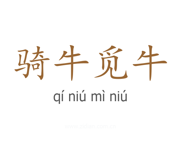 骑牛觅牛