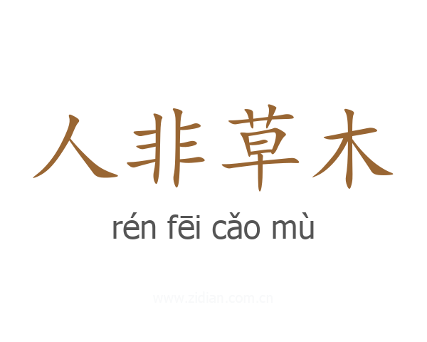 人非草木
