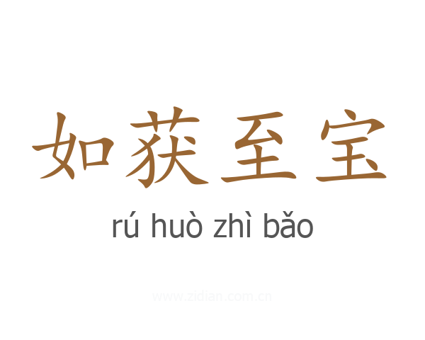 如获至宝