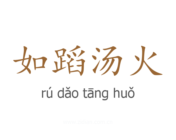 如蹈汤火