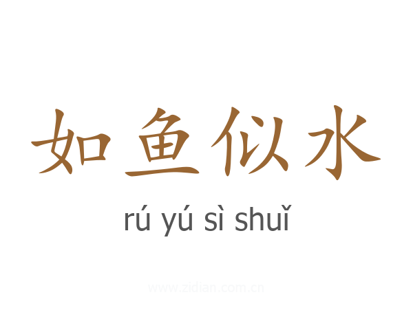 如鱼似水