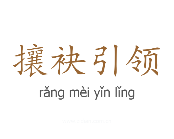 攘袂引领