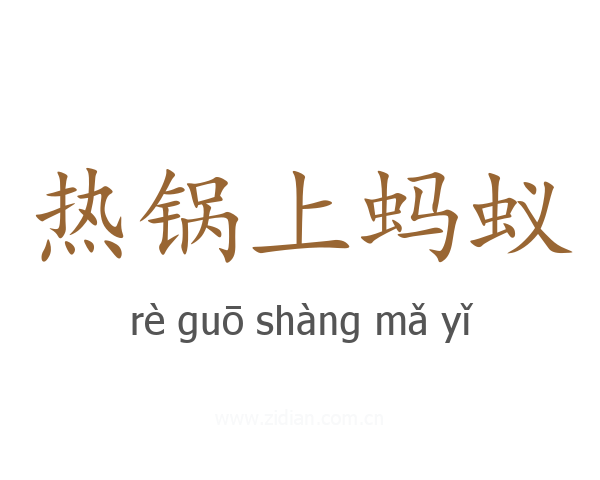 热锅上蚂蚁