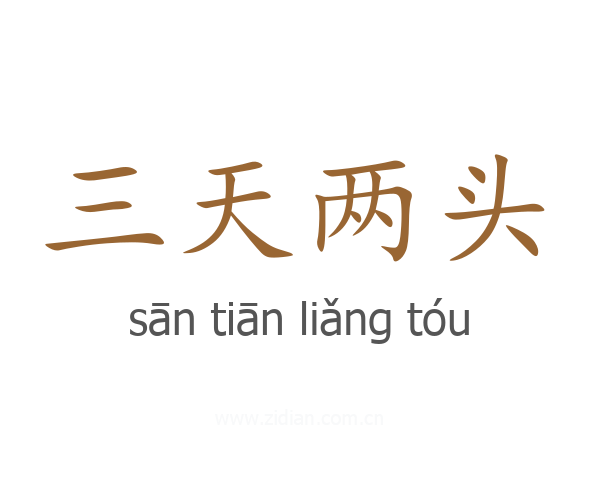 三天两头