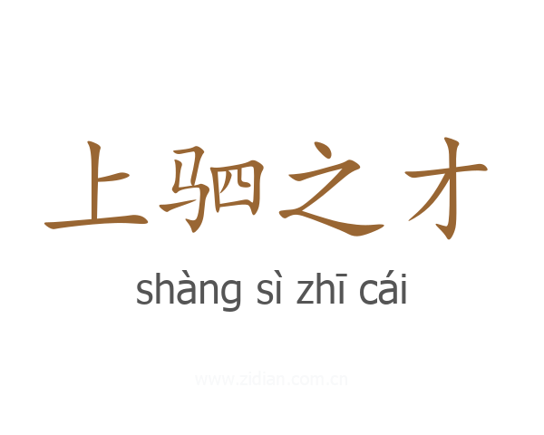 上驷之才