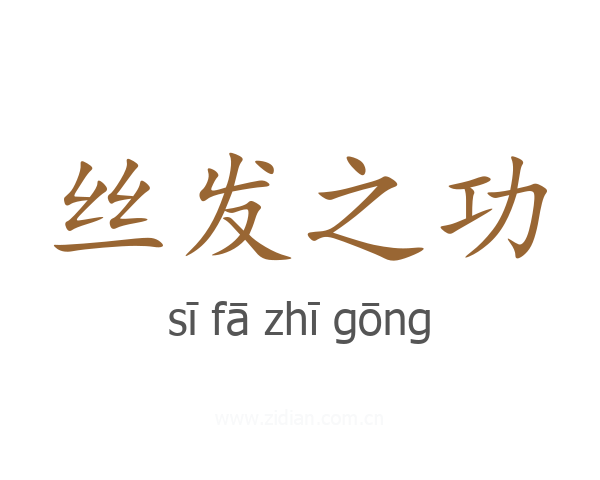 丝发之功