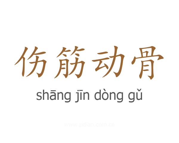 伤筋动骨