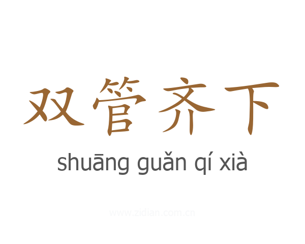 双管齐下