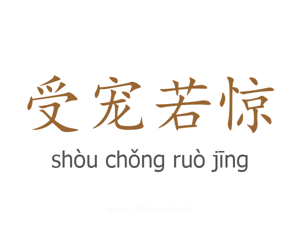 受宠若惊