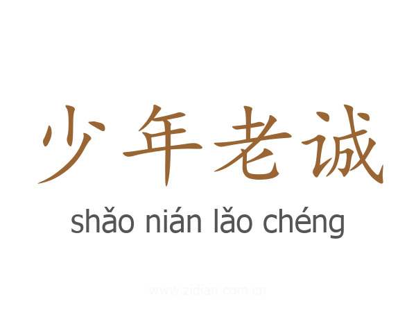少年老诚