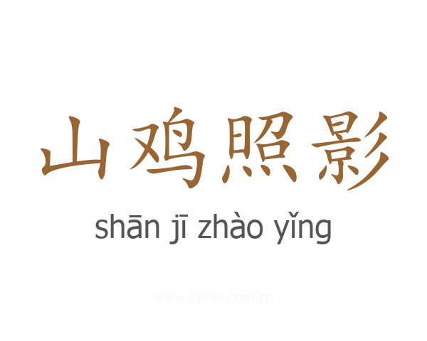 山鸡照影