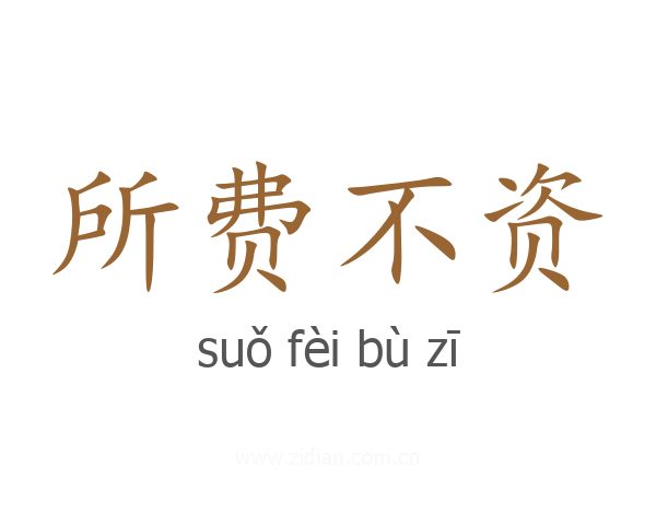 所费不资