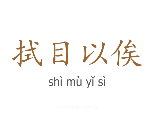 拭目以俟