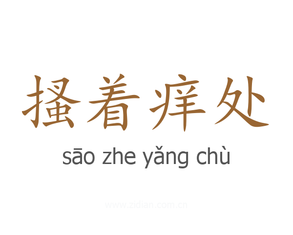 搔着痒处