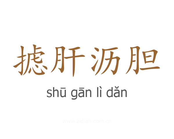 摅肝沥胆