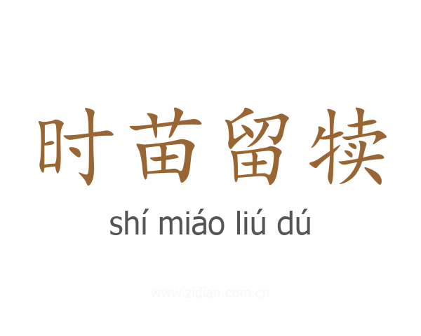 时苗留犊