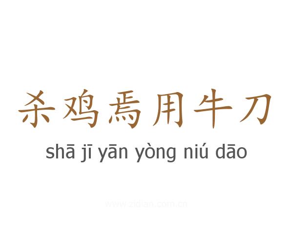 杀鸡焉用牛刀